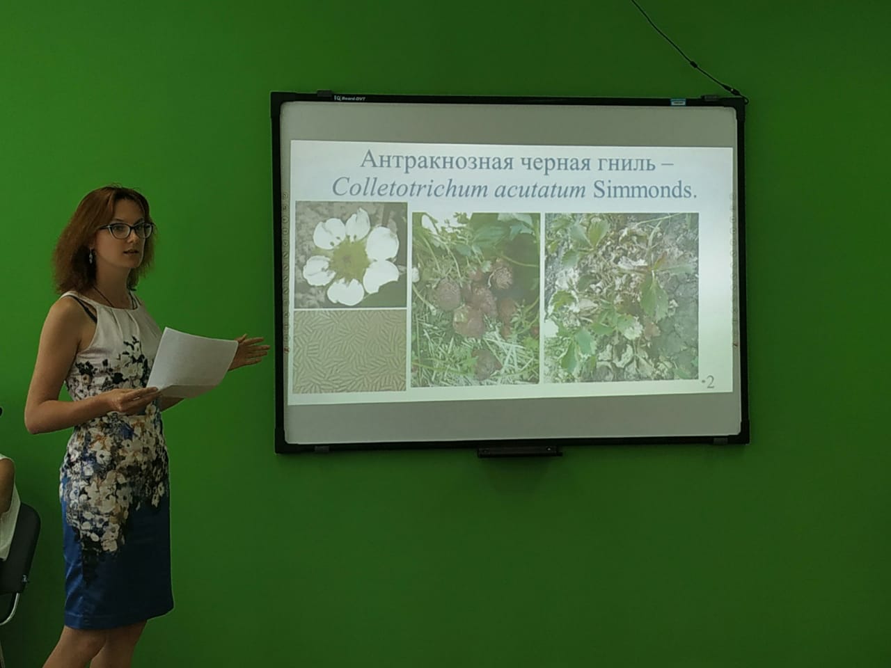 Доклад аспирантки Кащиц Юлии Доклад аспирантки Кащиц Юлии
