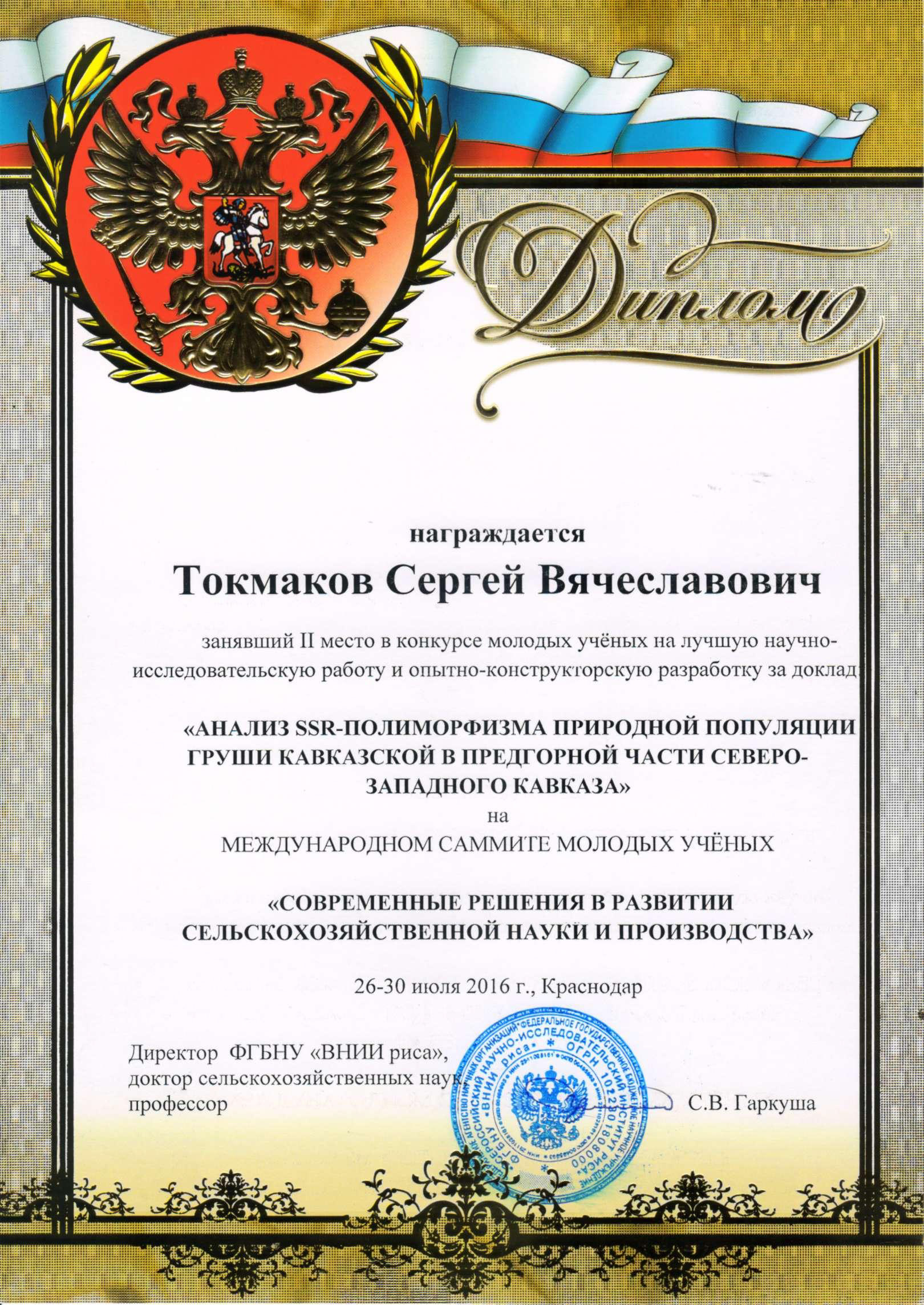 диплом Токмакова
