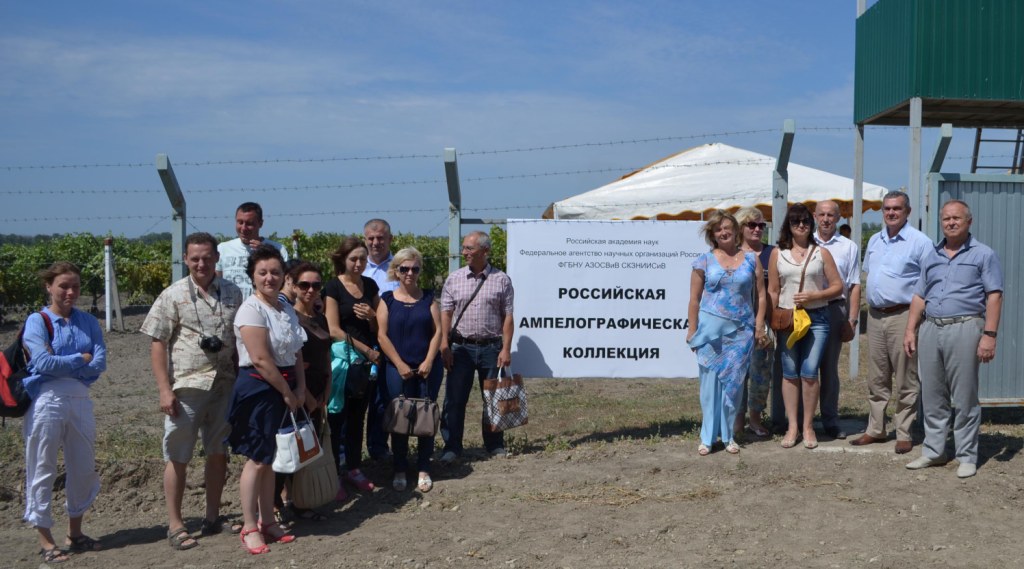 Выездное практическое занятие на Российскую ампелографическую коллекцию фото 1